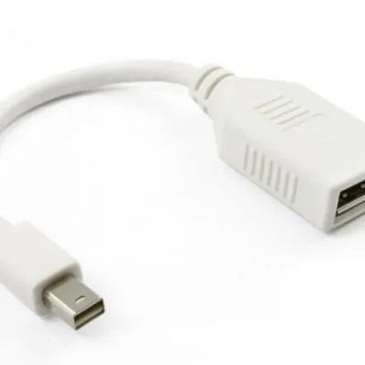כבל מתאם Mini DisplayPort ל-DP נקבה